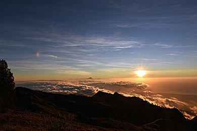 《忍者龟：施莱德的复仇》发售预告 中配未来上线